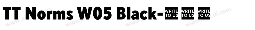 TT Norms W05 Black字体转换 TT Norms W05 Black字体转换